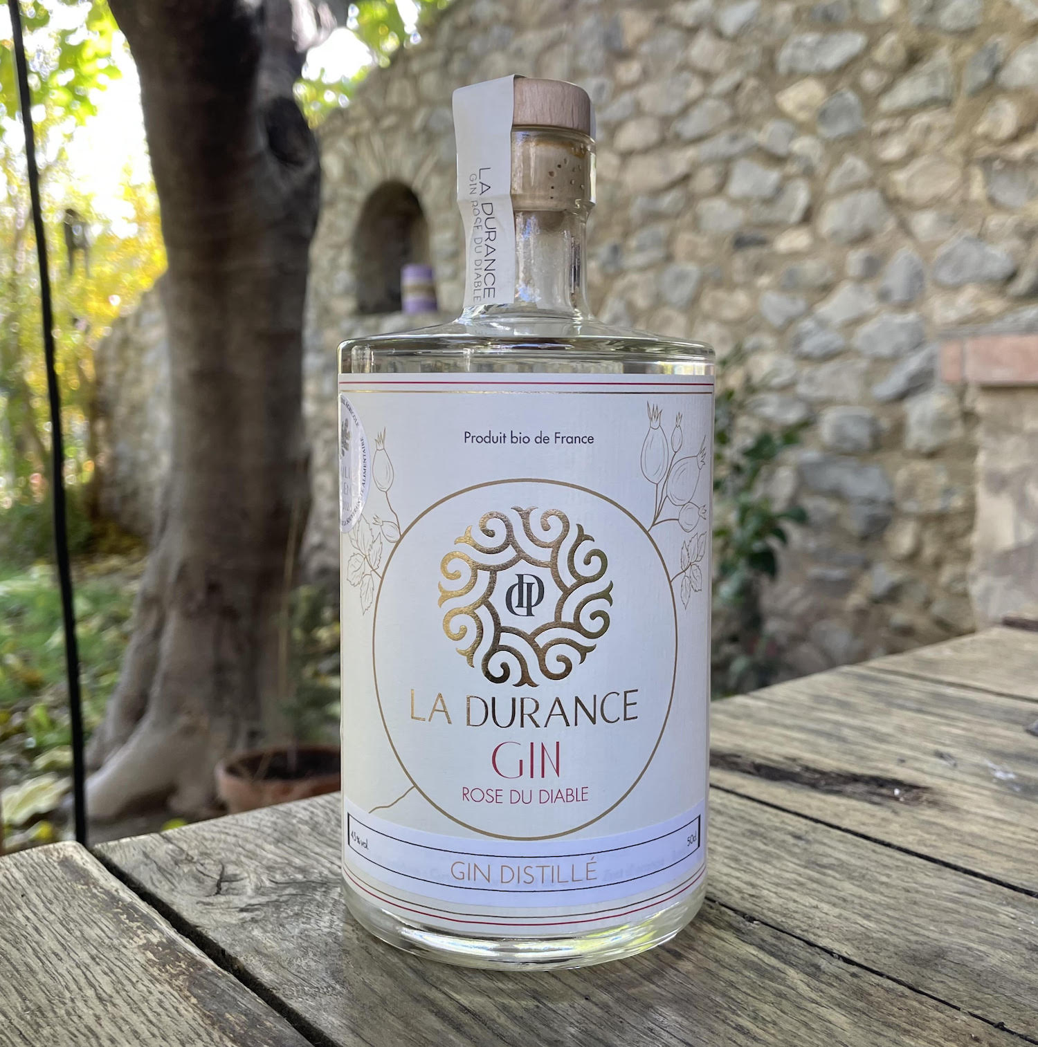 GIN2025